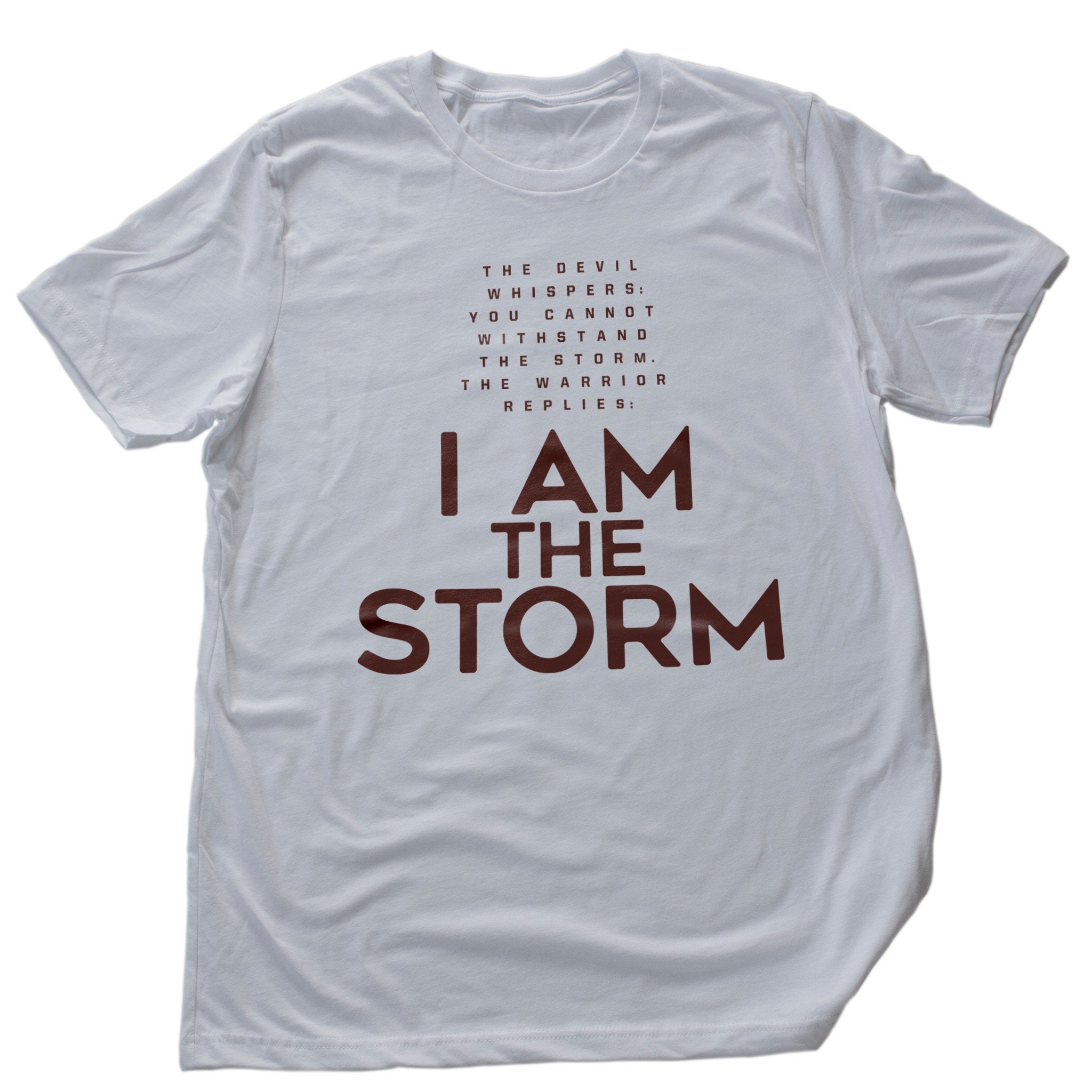 I AM the STORM — Premium Unisex T-shirt