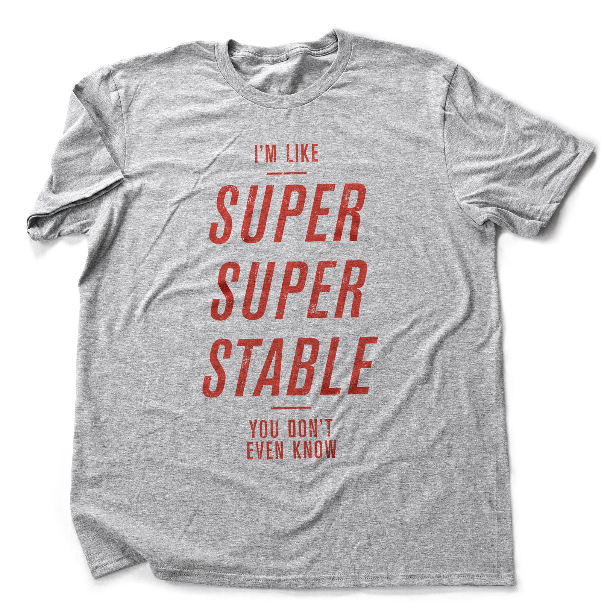 I'm Super Stable — premium unisex T-shirt